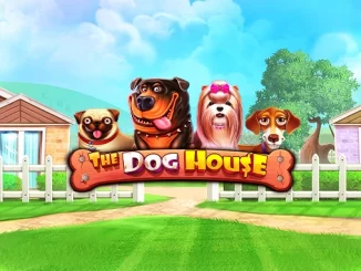 The Dog House